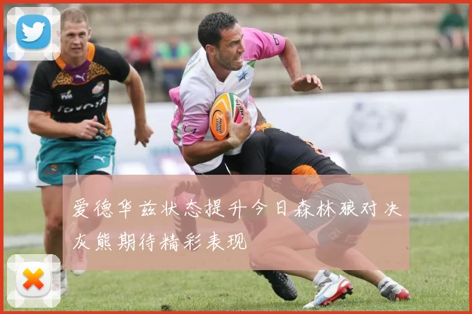 爱德华兹状态提升今日森林狼对决灰熊期待精彩表现