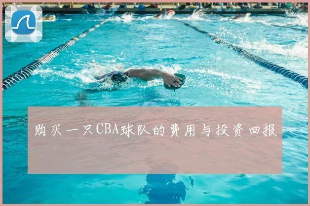 购买一只CBA球队的费用与投资回报