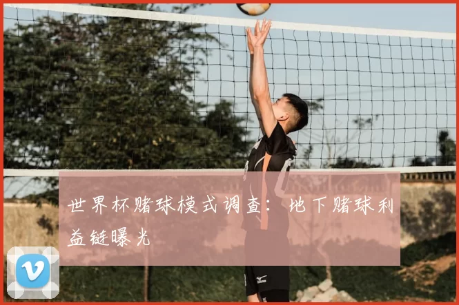 世界杯赌球模式调查：地下赌球利益链曝光