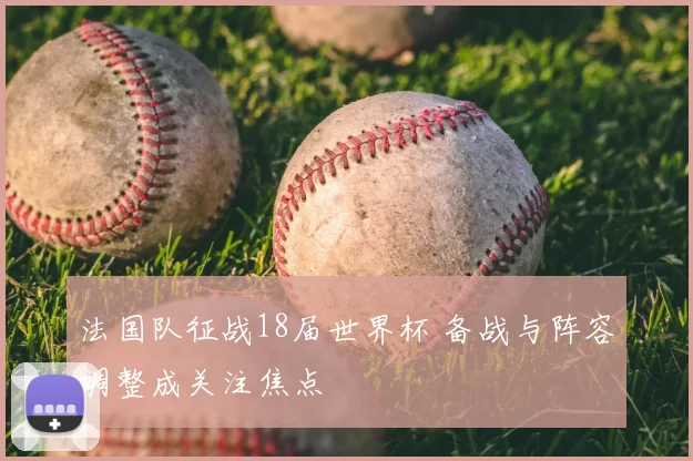 法国队征战18届世界杯 备战与阵容调整成关注焦点