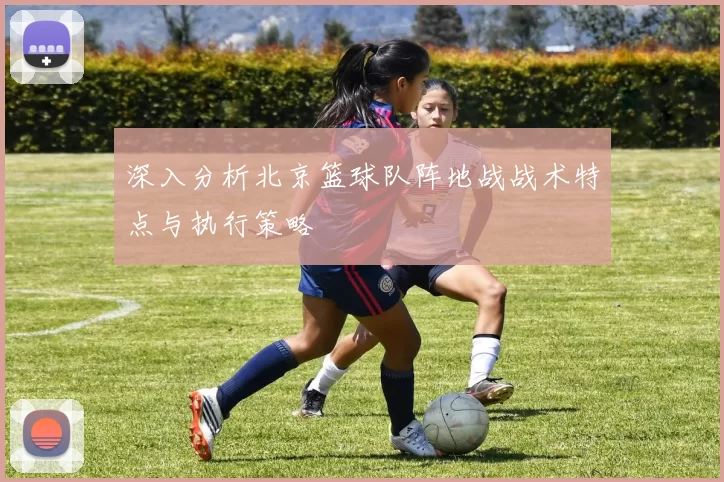 深入分析北京篮球队阵地战战术特点与执行策略