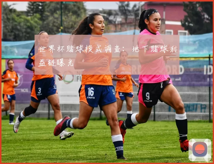 世界杯赌球模式调查：地下赌球利益链曝光